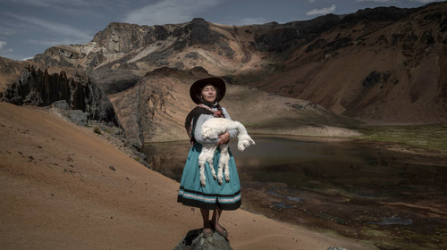 Visita comentada a  la exposición «World Press Photo 2023»