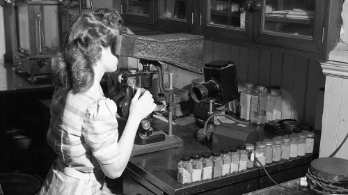 Women and science: the view from institutions of quality research