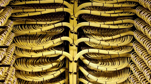 IA i neurociència