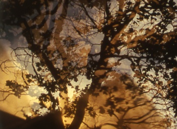 Devotional Cinema II. Nathaniel Dorsky