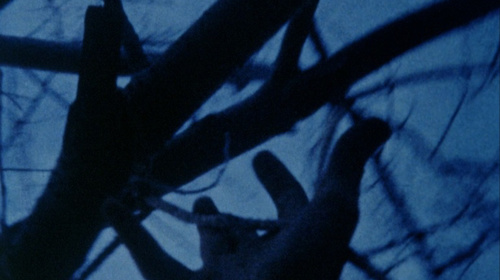 Stan Brakhage. Anticipation of the Night