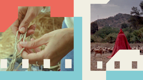 Projeccions d’estiu