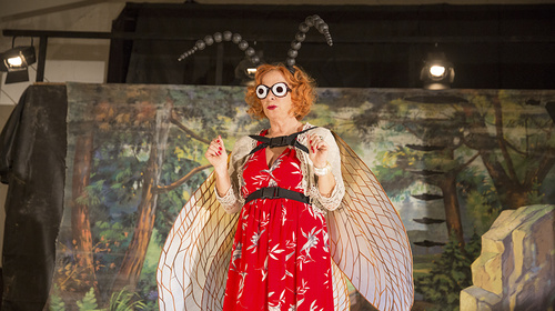 Opening of the 2019 season. Insect. Jan Švankmajer’s latest film