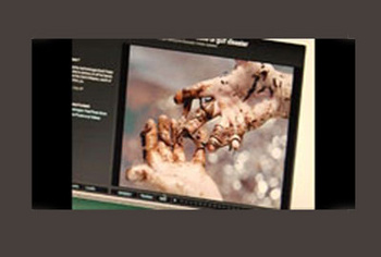 Dying for Images