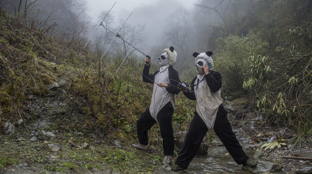 World Press Photo 2017