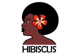 Hibiscus Asociación de Afroespañolas y afrodescendientes