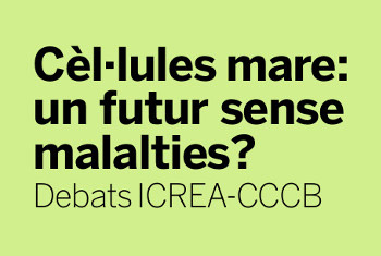 Les cèl·lules mare, a debat