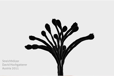 BIO·FICTION. Science Art Film Festival