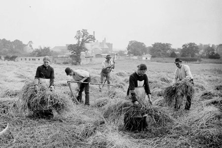 Agroecology: a holistic view of the food system