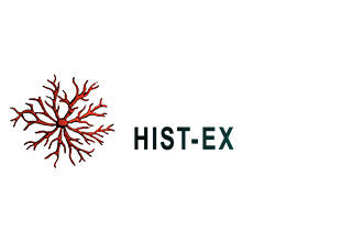 Hist-Ex (Història i Filosofia de l'Experiència)