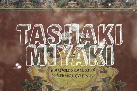 Emergència! 2013. Tashaki Miyaki
