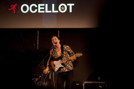 Emergència! 2013. Ocellot