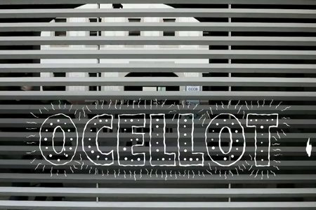 Emergència! 2013. Ocellot