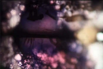 Pantalla CCCB, una ventana a la creación audiovisual