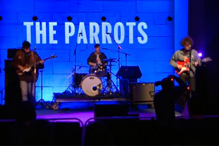 Emergència! 2015. The Parrots