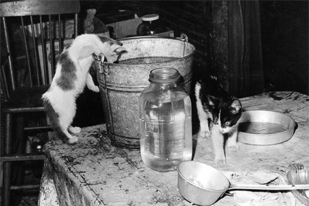 La cocina abandonada